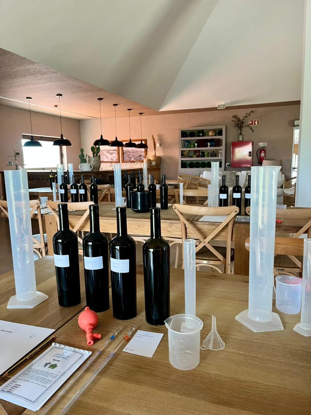 Cata de vinos